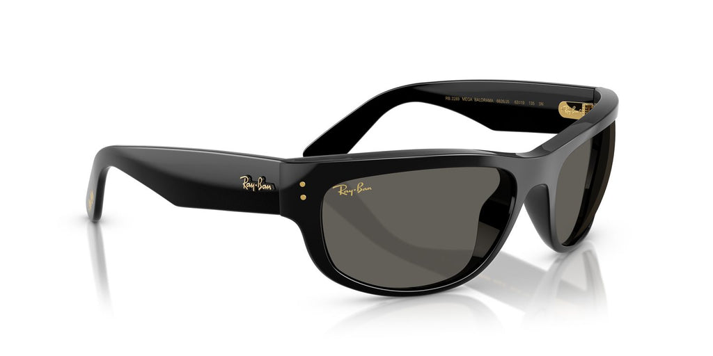 Ray-Ban | 0RB2289