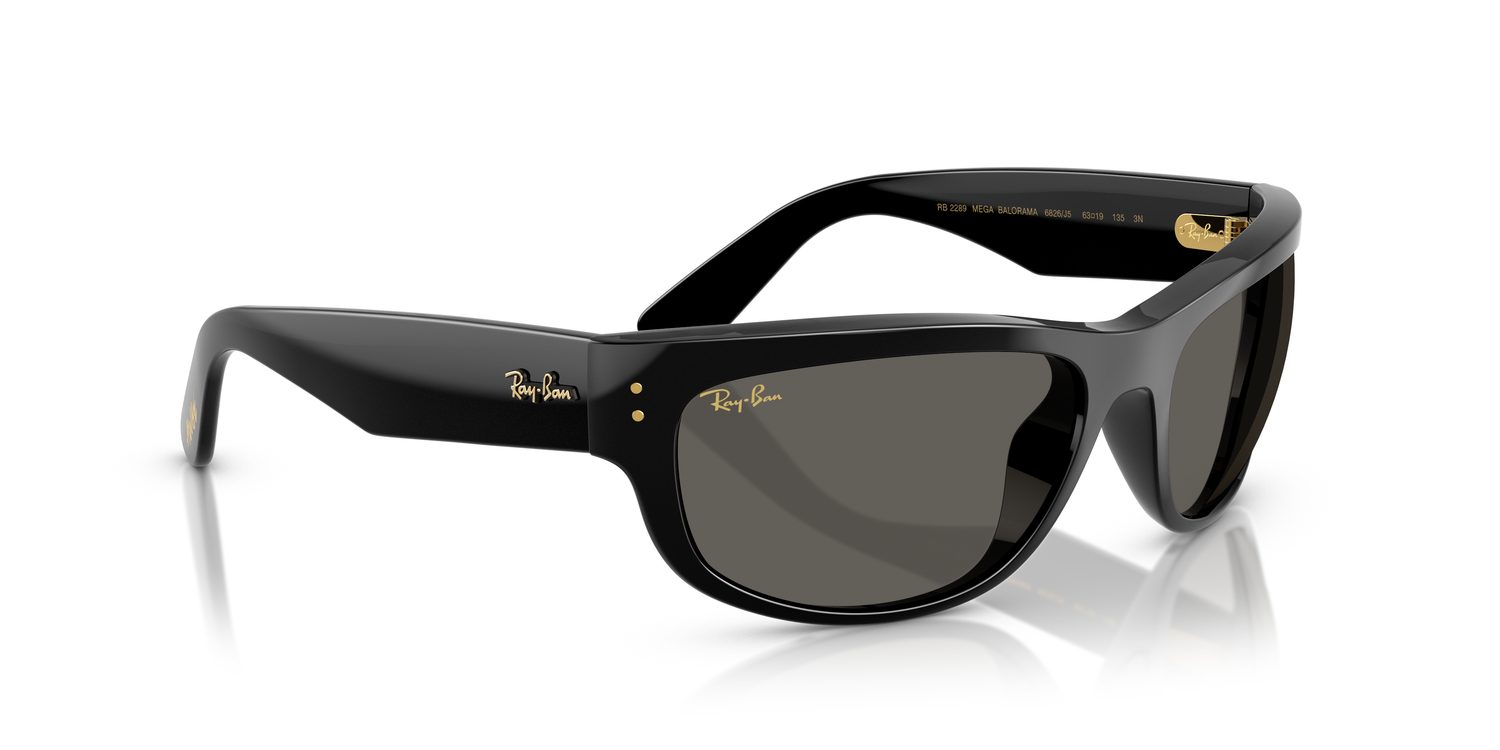 Ray-Ban | 0RB2289