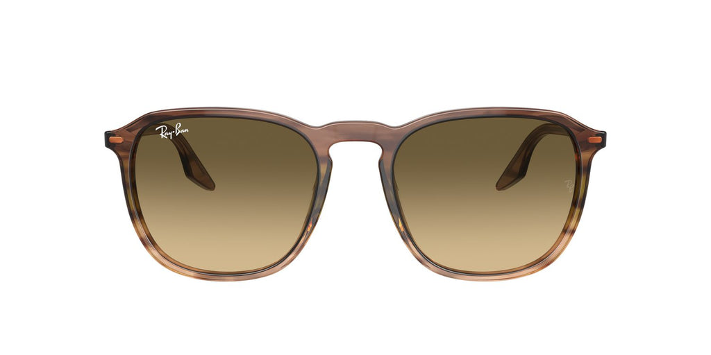 Ray-Ban | 0RB2203