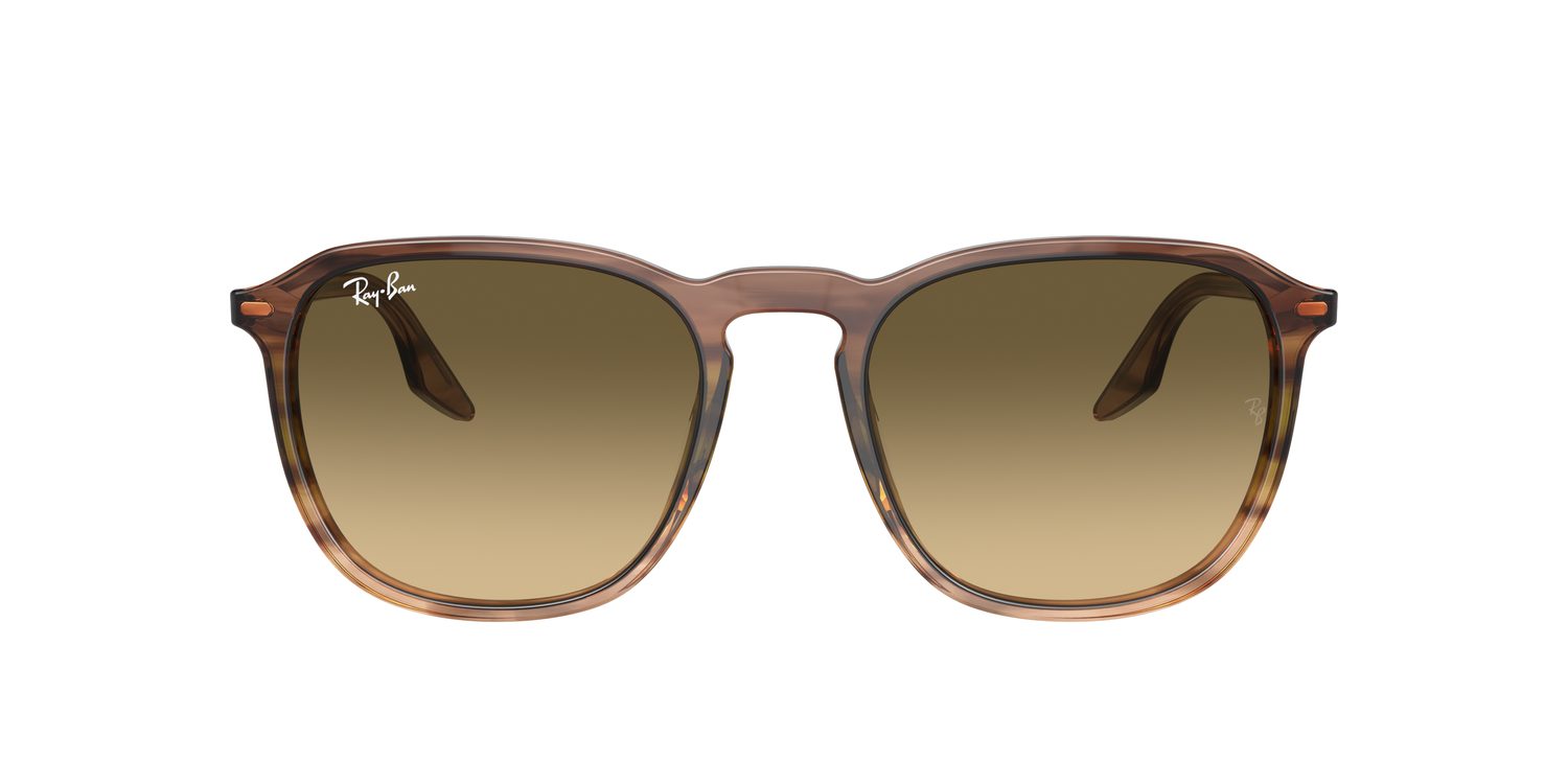 Ray-Ban | 0RB2203