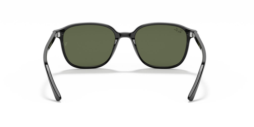 Ray-Ban | 0RB2193