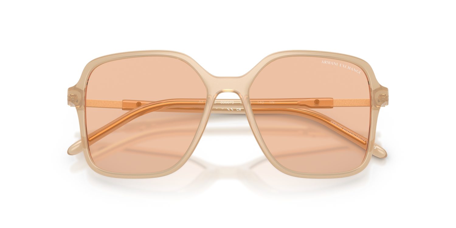 Armani Exchange | 0AX4163S
