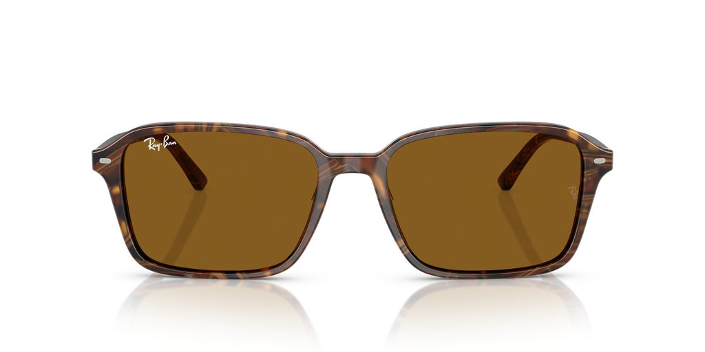 Ray-Ban | 0RB2231