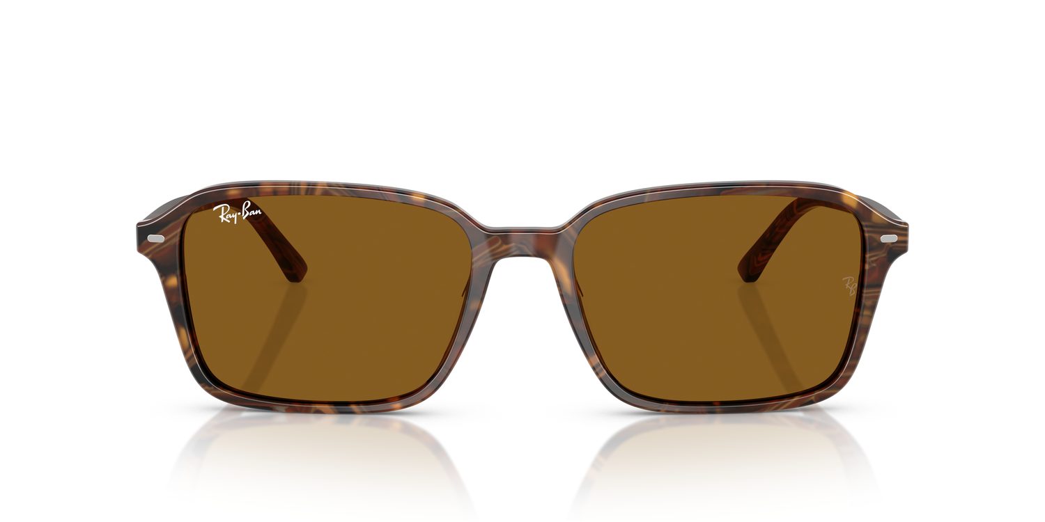 Ray-Ban | 0RB2231