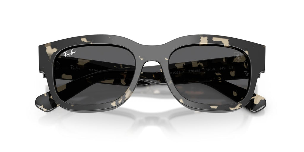 Ray-Ban | 0RB2228M