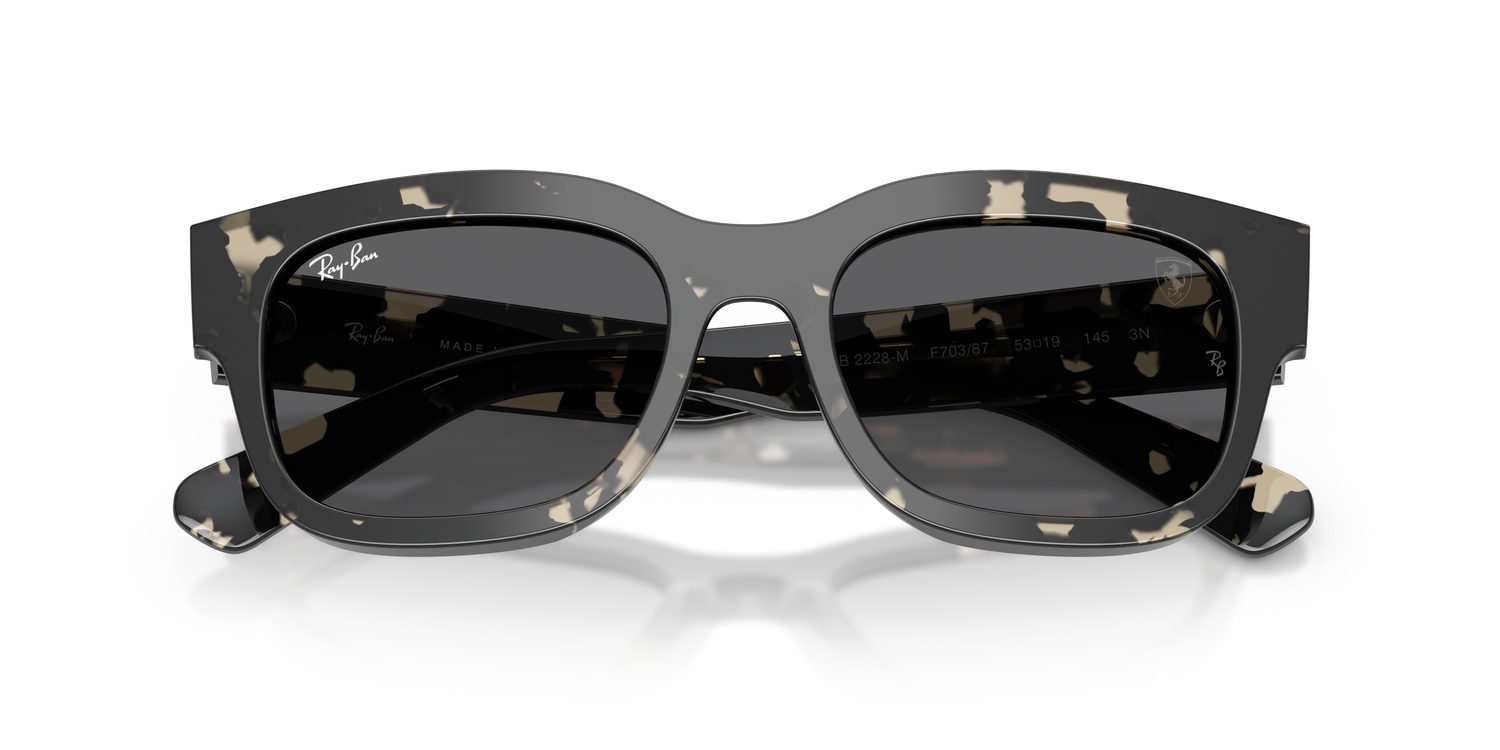 Ray-Ban | 0RB2228M