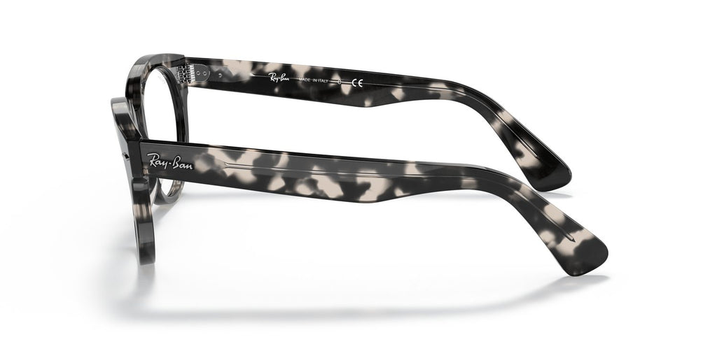 Ray-Ban | 0RX2199V (Orion)