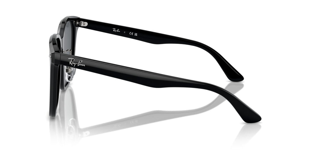 Ray-Ban | 0RB2206D