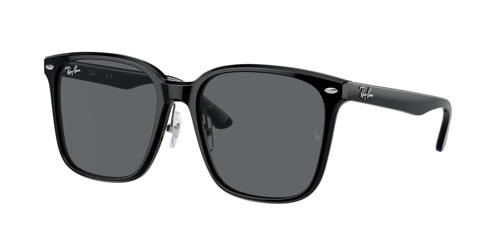 Ray-Ban | 0RB2206D