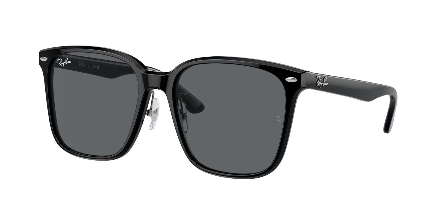 Ray-Ban | 0RB2206D
