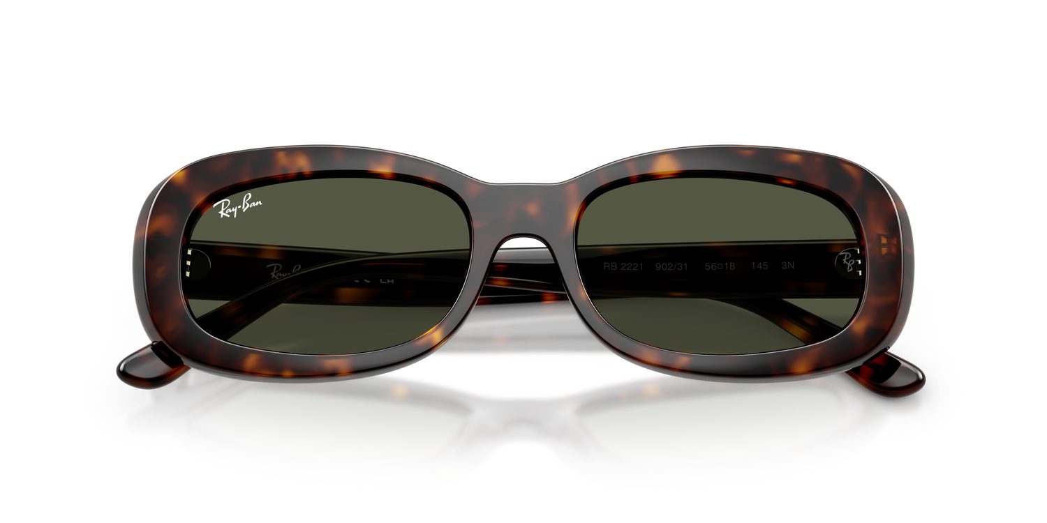 Ray-Ban | 0RB2221