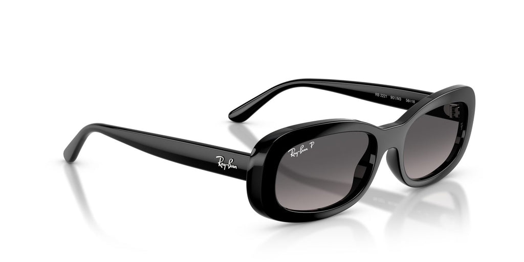 Ray-Ban | 0RB2221