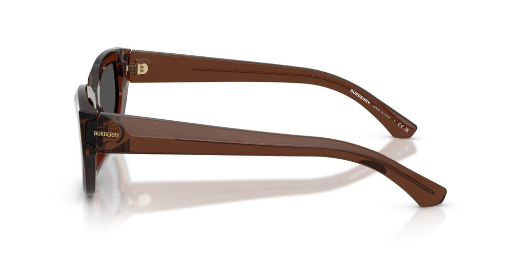 Burberry | 0BE4463D