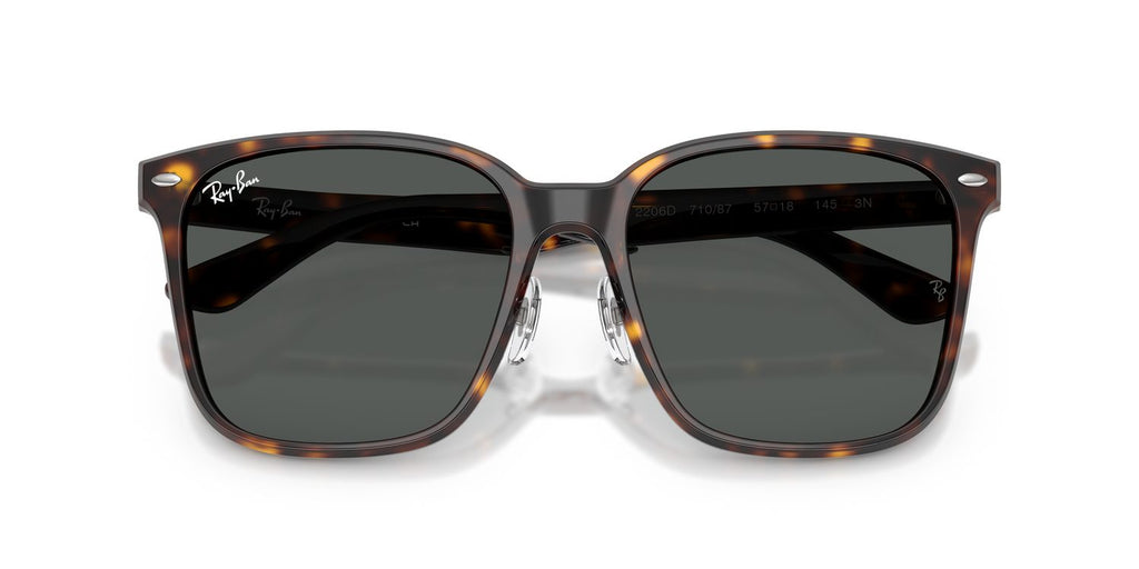 Ray-Ban | 0RB2206D