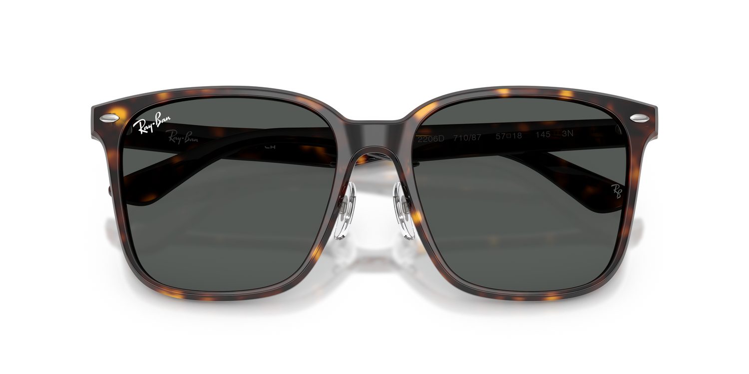 Ray-Ban | 0RB2206D