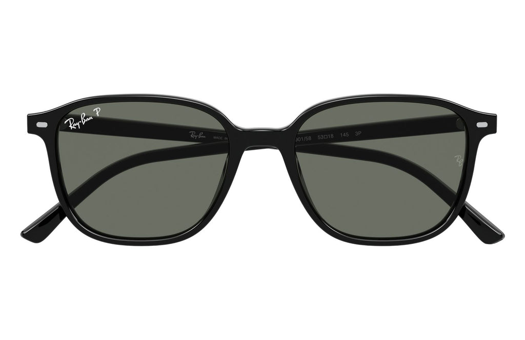 Ray-Ban | 0RB2193