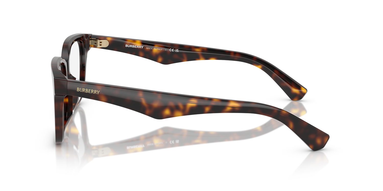 Burberry | 0BE2425D