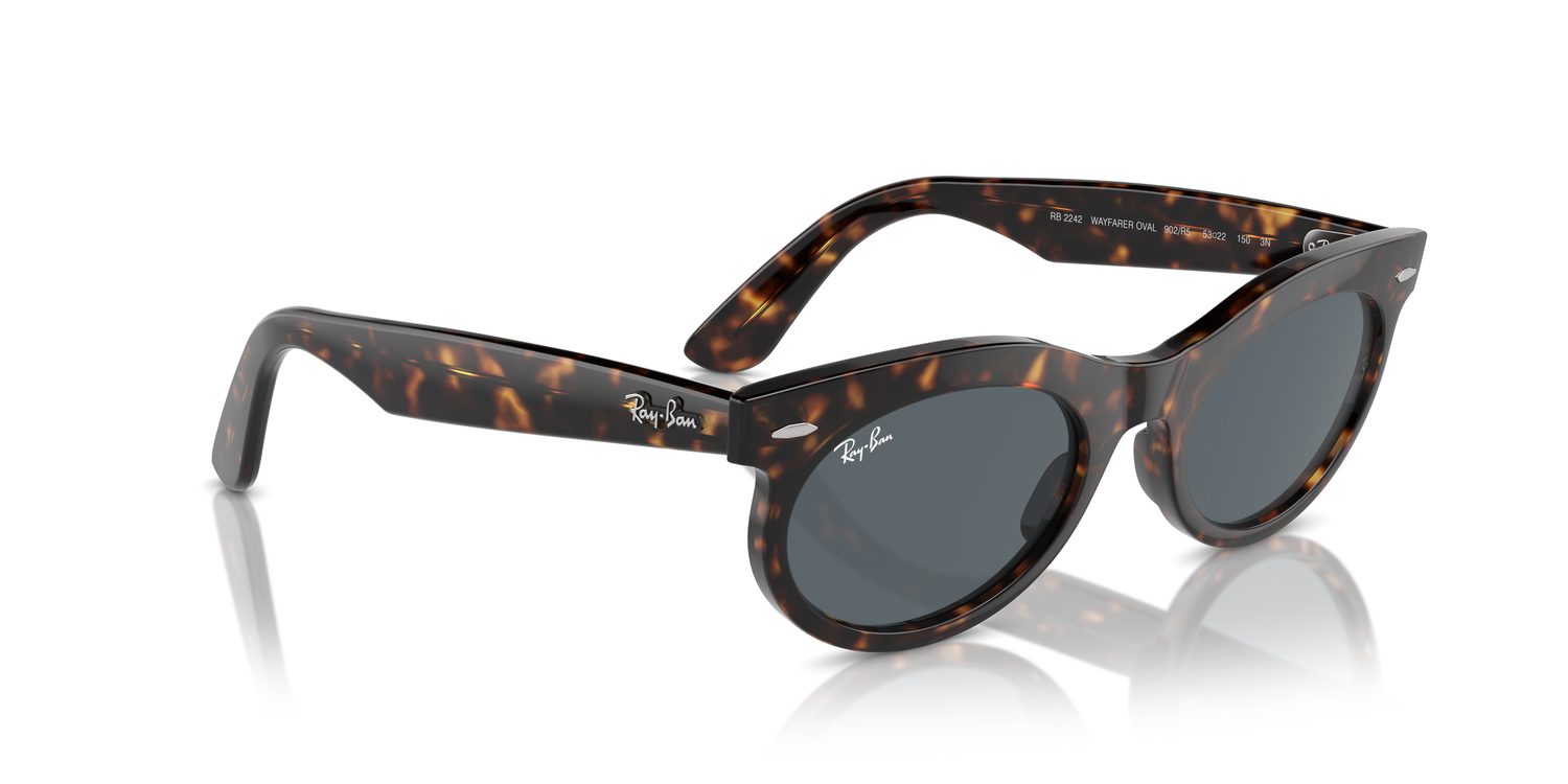 Ray-Ban | 0RB2242