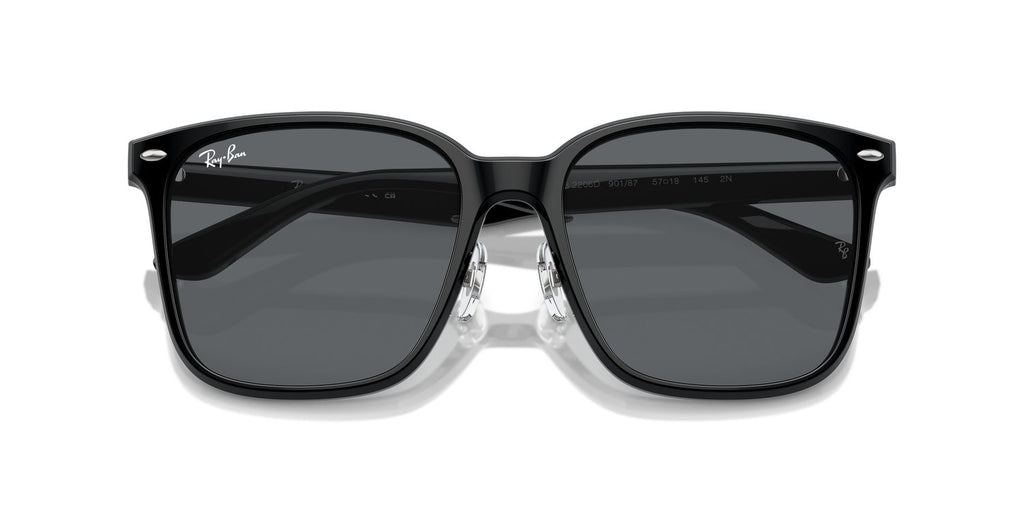 Ray-Ban | 0RB2206D