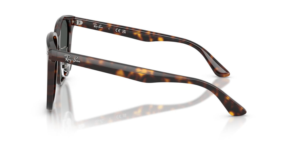 Ray-Ban | 0RB2206D