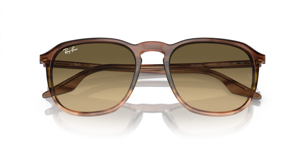 Ray-Ban | 0RB2203