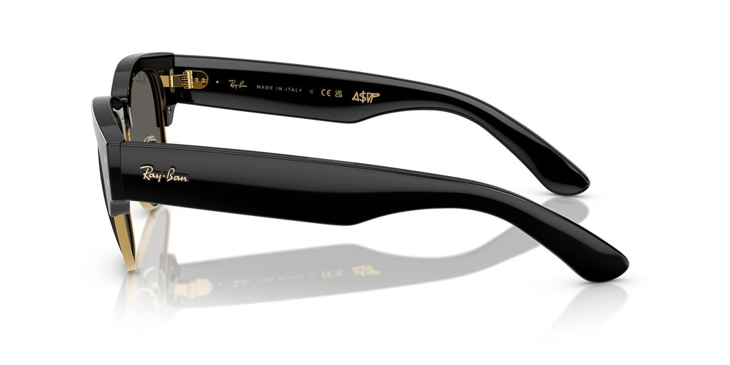 Ray-Ban | 0RB0316S