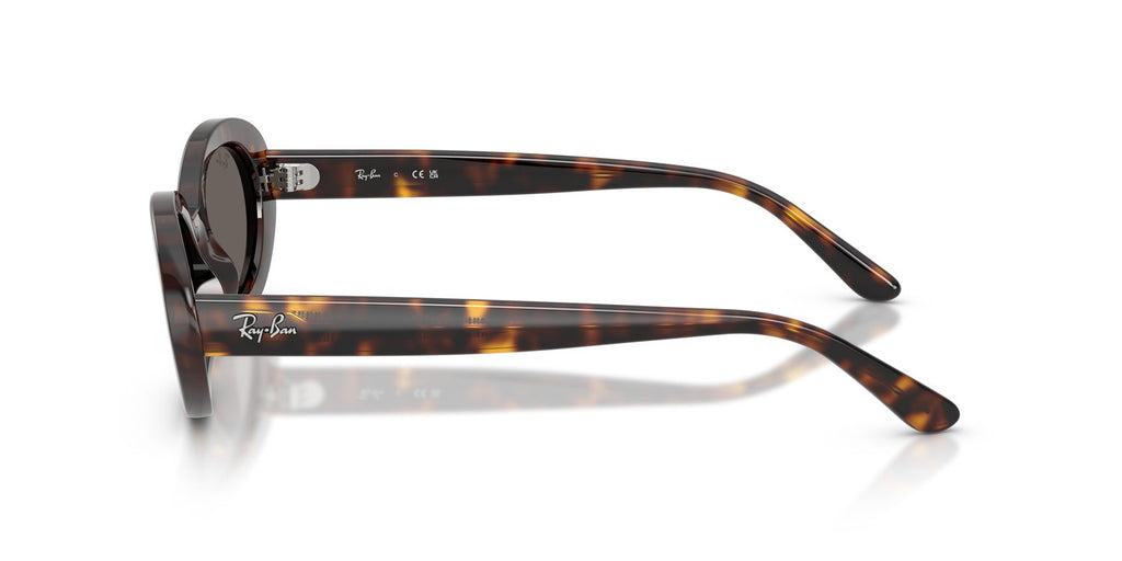 Ray-Ban | 0RB2223