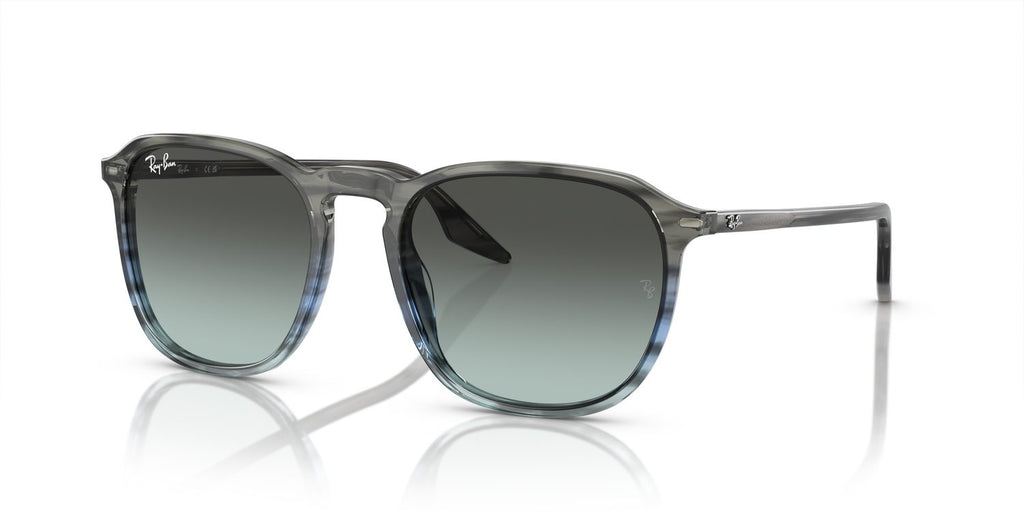 Ray-Ban | 0RB2203