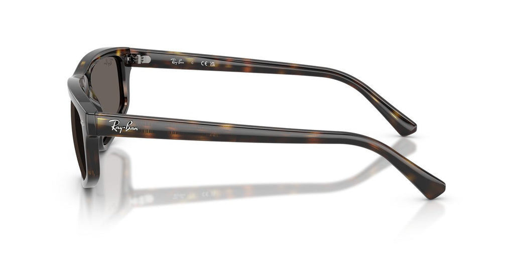 Ray-Ban | 0RB2225