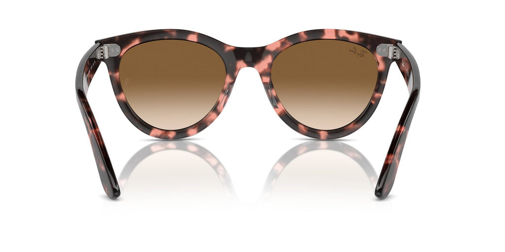 Ray-Ban | 0RB2241