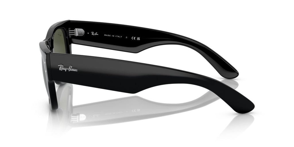 Ray-Ban | 0RB0840S