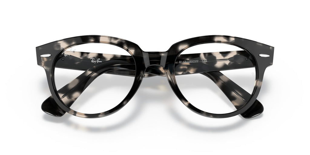 Ray-Ban | 0RX2199V (Orion)