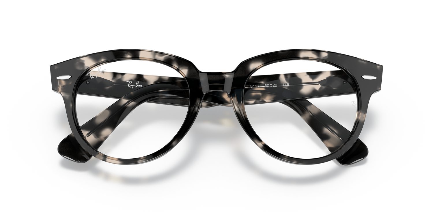 Ray-Ban | 0RX2199V (Orion)