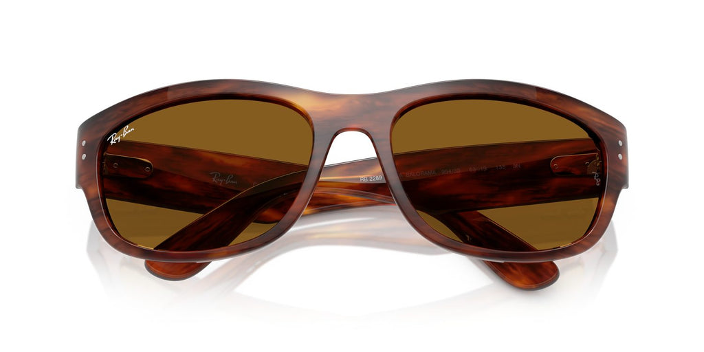 Ray-Ban | 0RB2289