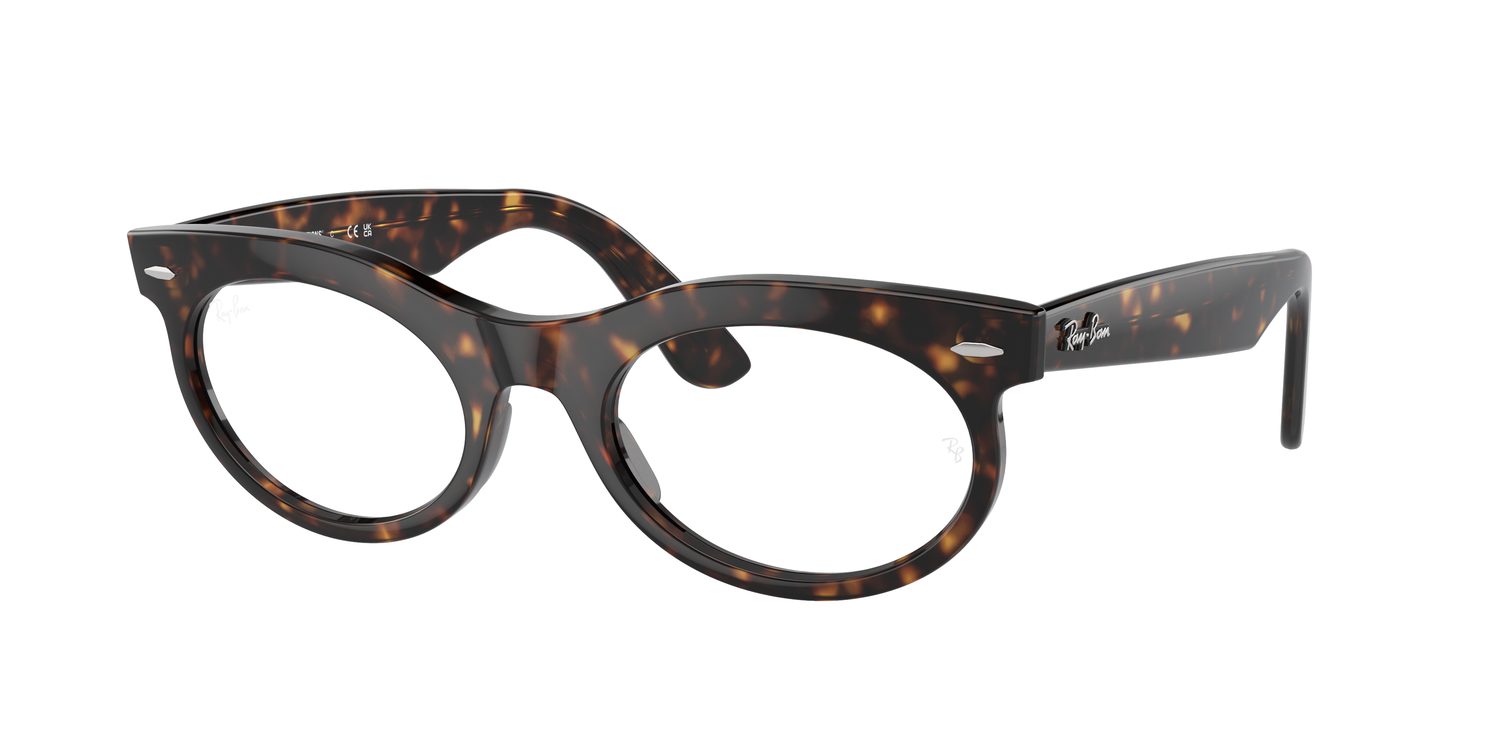Ray-Ban | 0RB2242