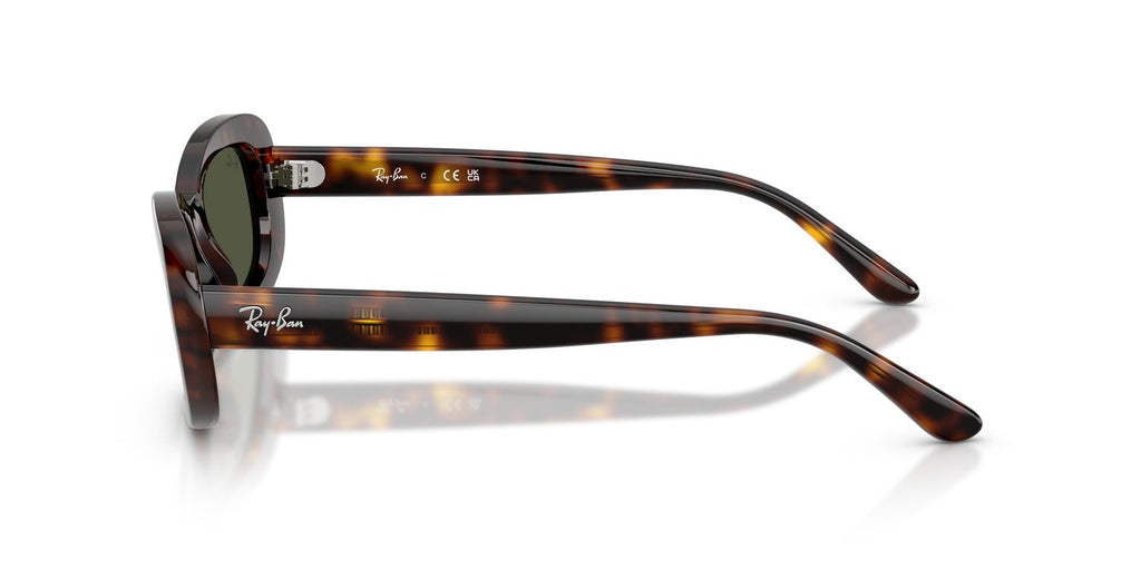 Ray-Ban | 0RB2221