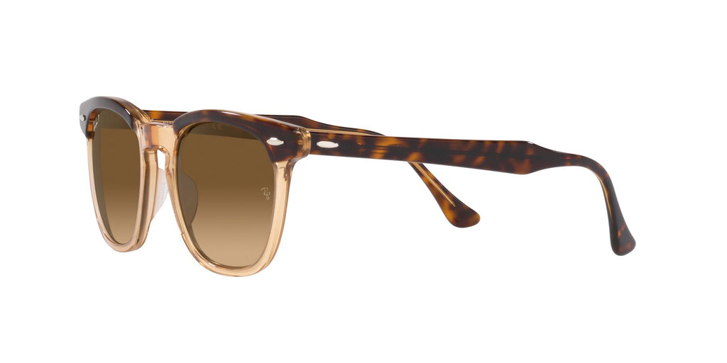 Ray-Ban | 0RB2298