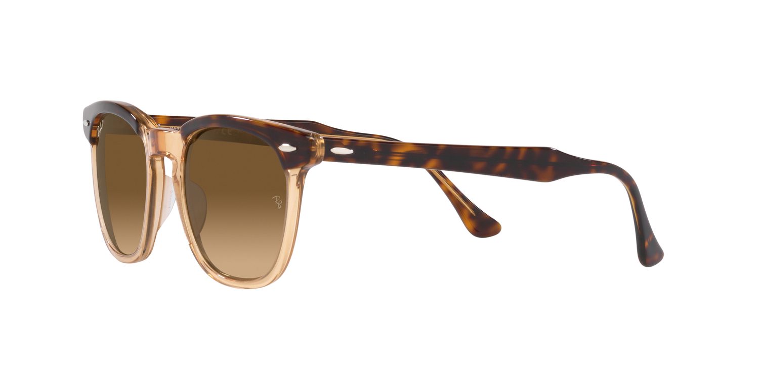 Ray-Ban | 0RB2298