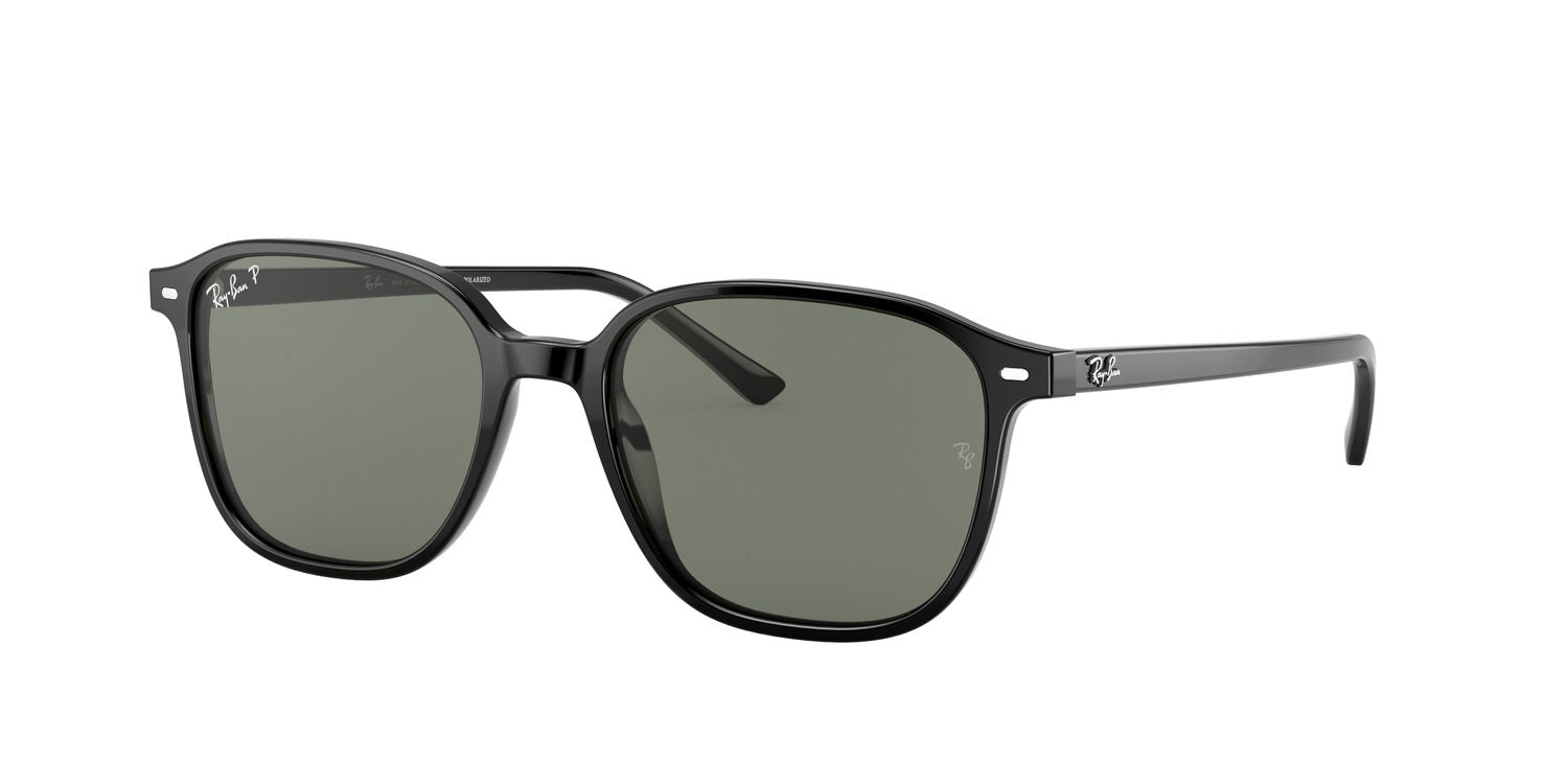 Ray-Ban | 0RB2193