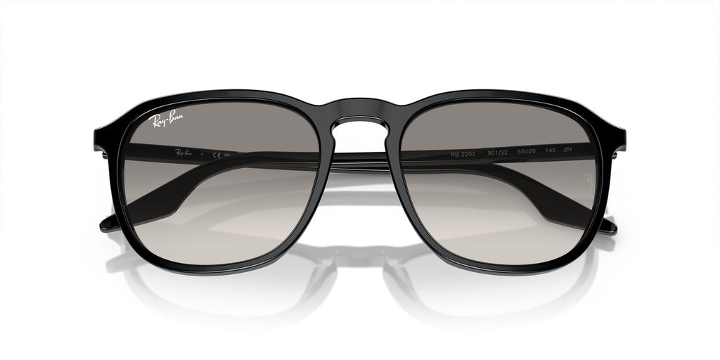 Ray-Ban | 0RB2203