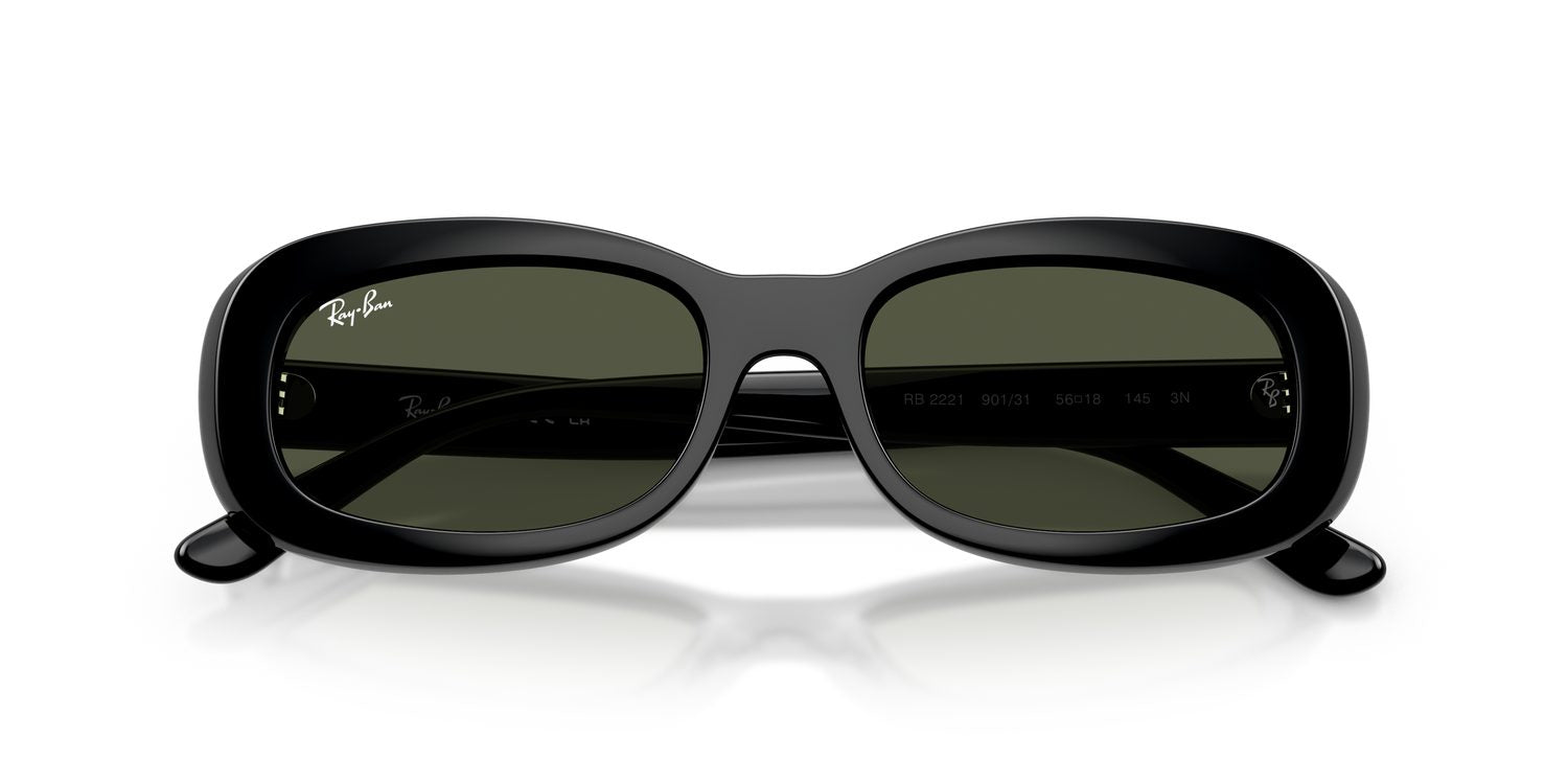 Ray-Ban | 0RB2221