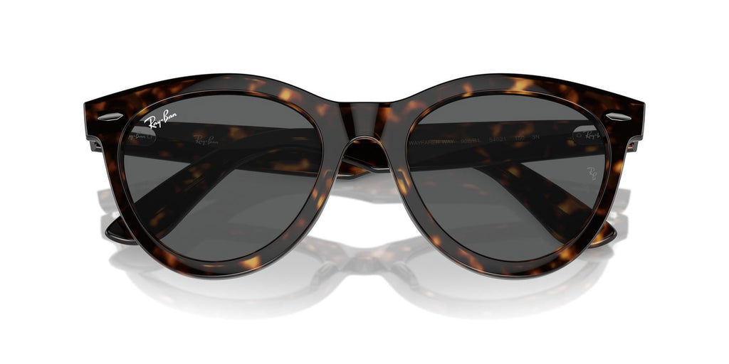 Ray-Ban | 0RB2241
