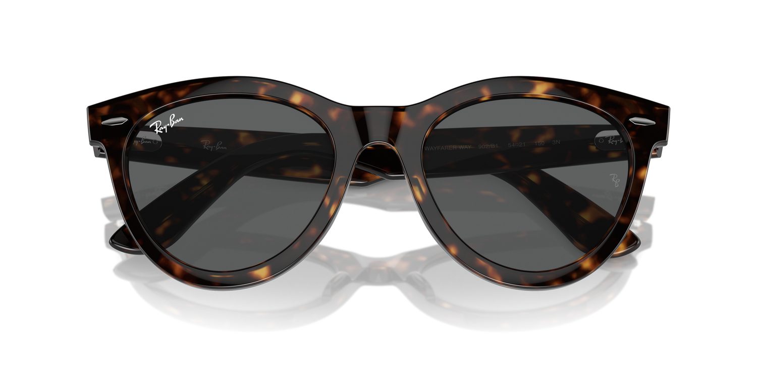 Ray-Ban | 0RB2241