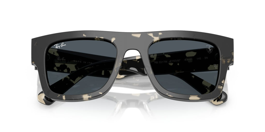 Ray-Ban | 0RB2217M