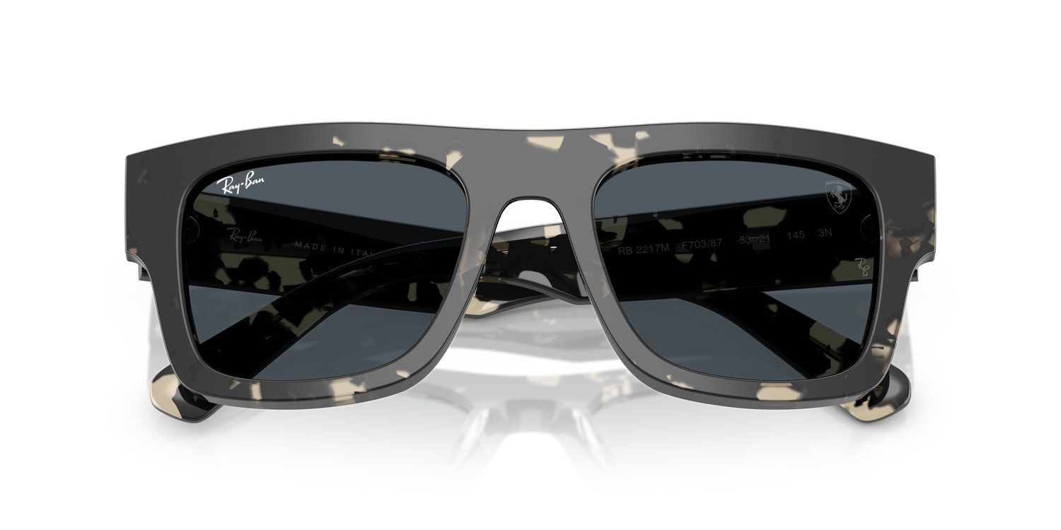 Ray-Ban | 0RB2217M