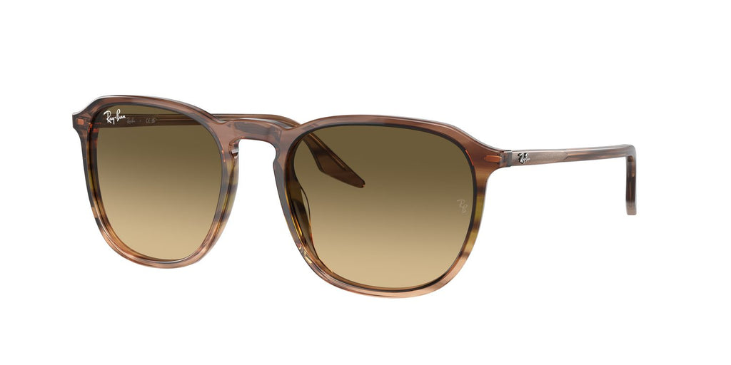 Ray-Ban | 0RB2203