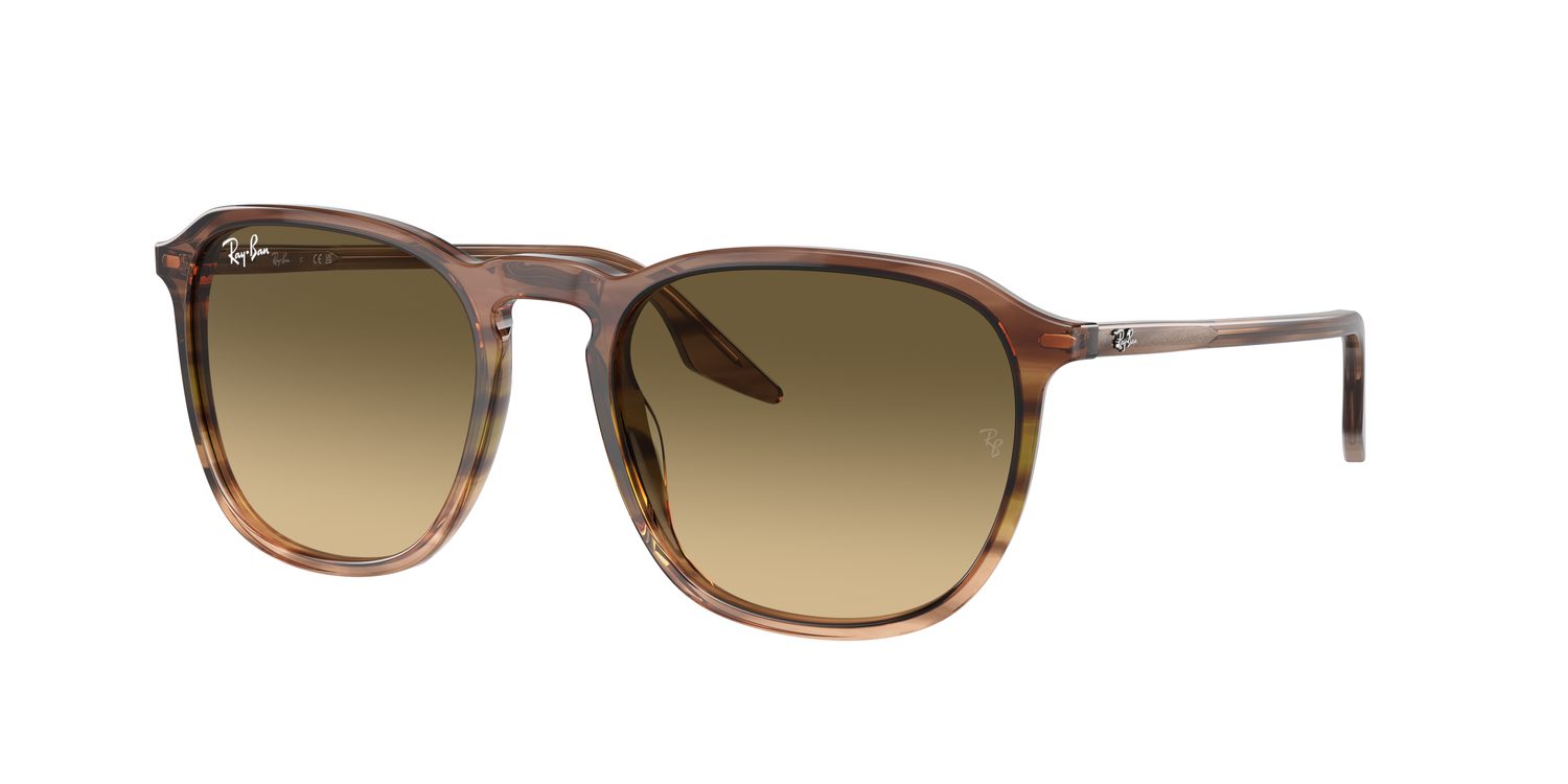 Ray-Ban | 0RB2203