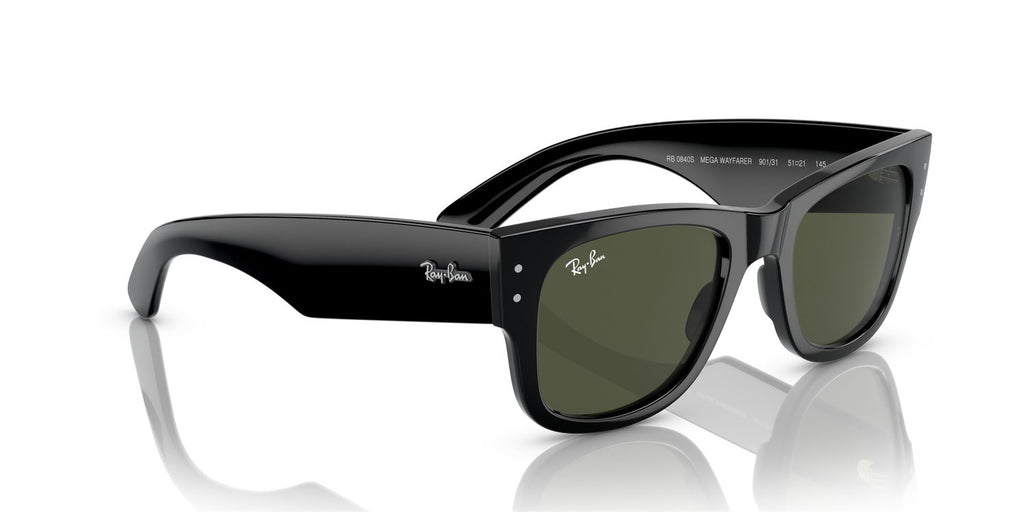 Ray-Ban | 0RB0840S