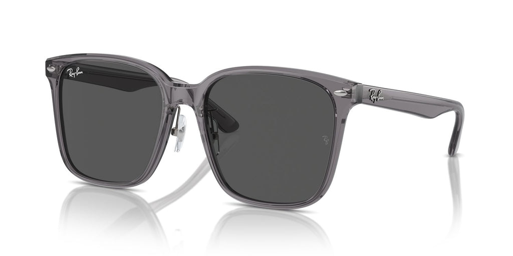 Ray-Ban | 0RB2206D