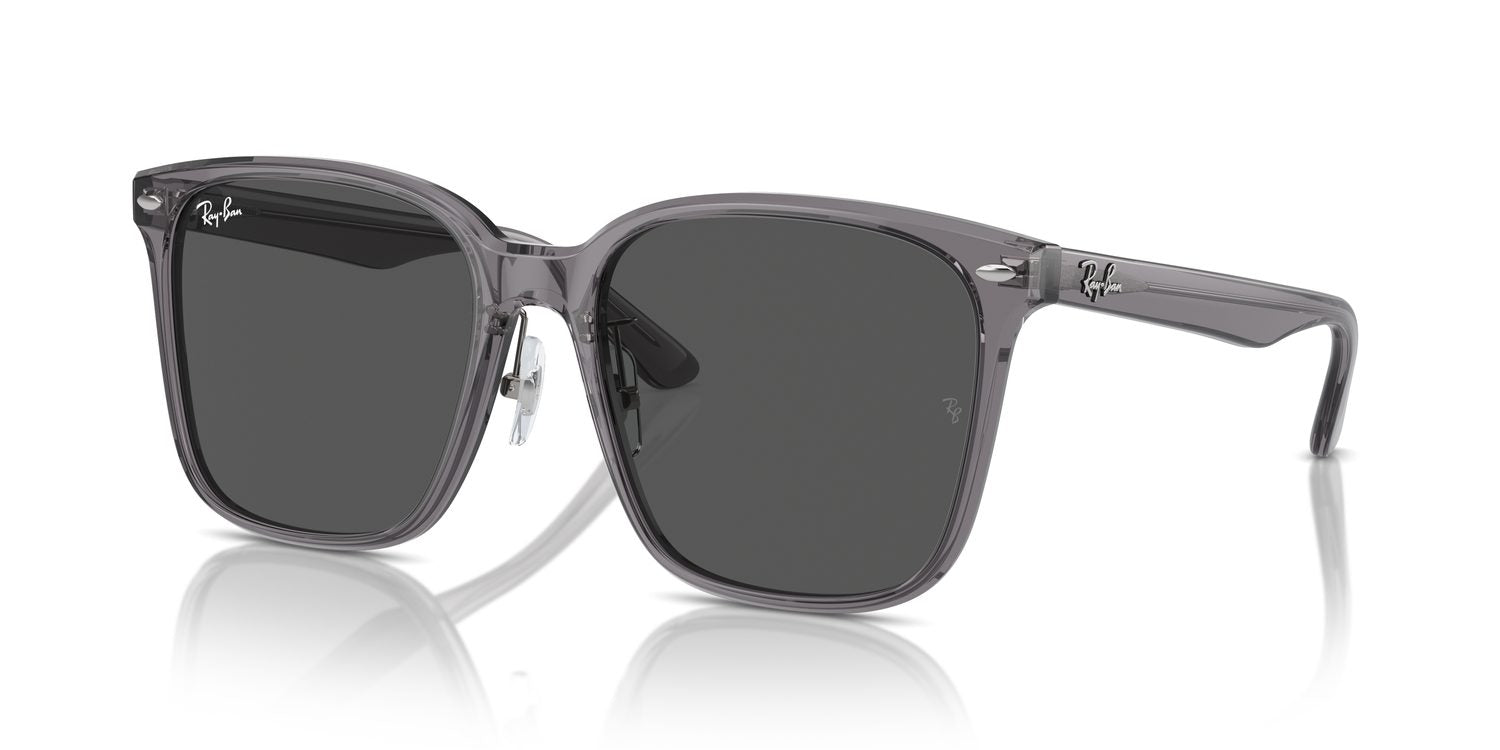 Ray-Ban | 0RB2206D